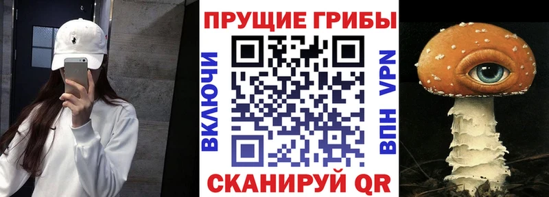 Галлюциногенные грибы MAGIC MUSHROOMS  Кузнецк 