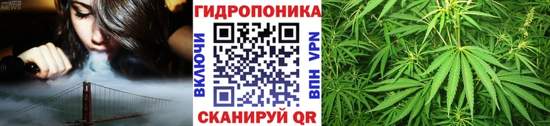 Бошки Шишки ГИДРОПОН  магазин    Кузнецк 